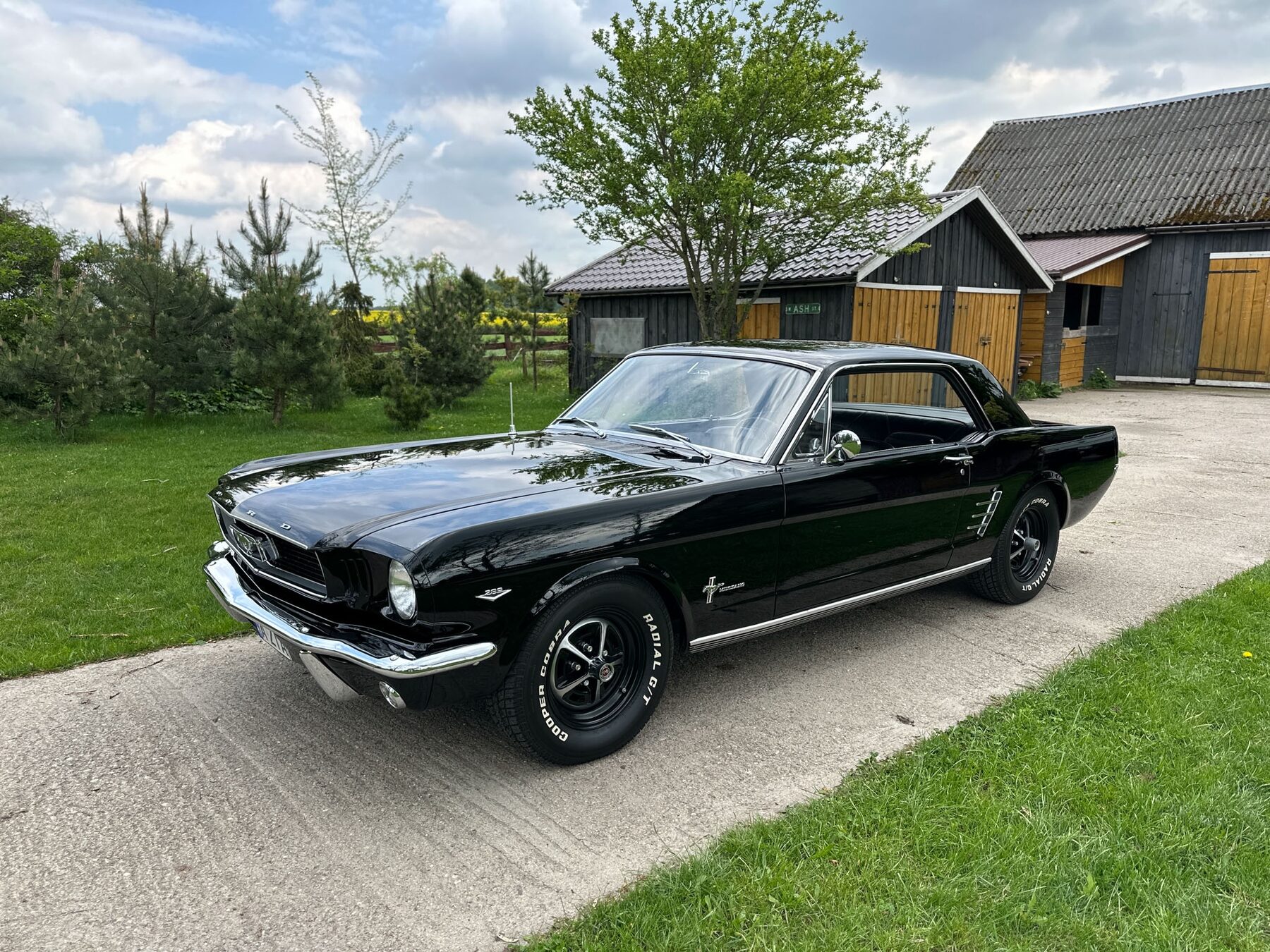 Ford Mustang Coupe 1966